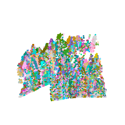 Segmented tree IDs