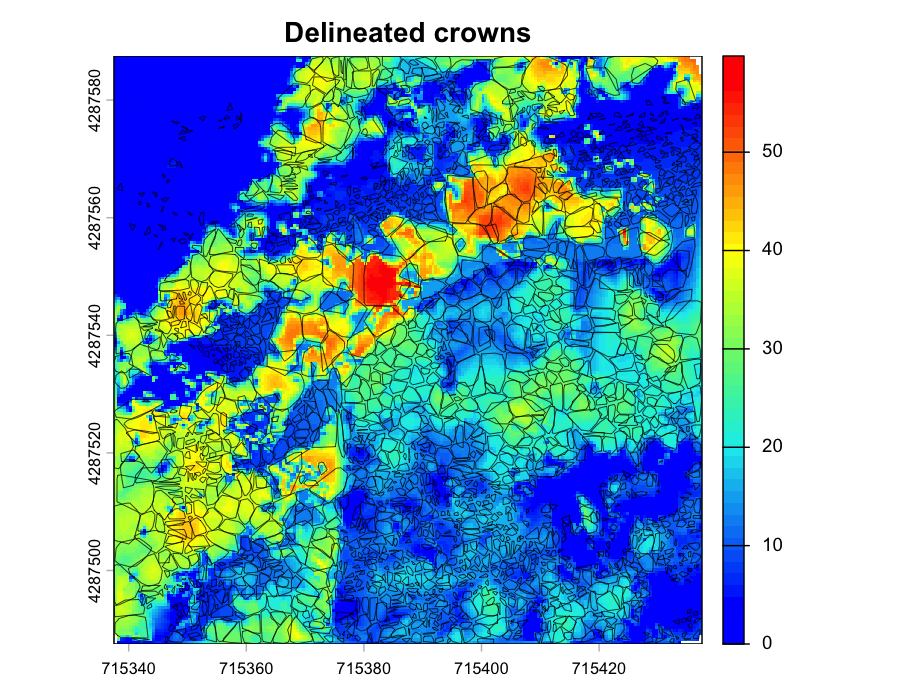 Crown delineation